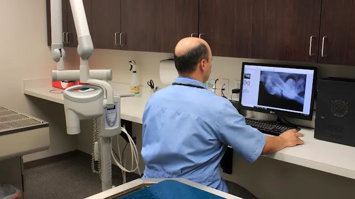 Strafford Veterinary Clinic 12