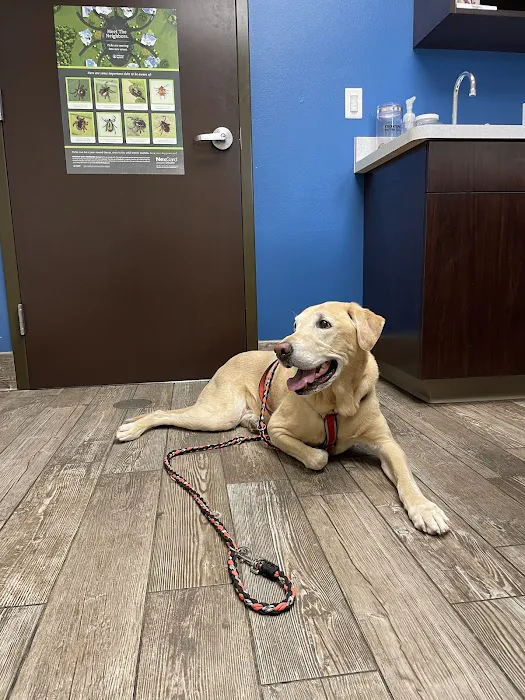 Strafford Veterinary Clinic 12