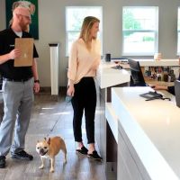 Strafford Veterinary Clinic ico