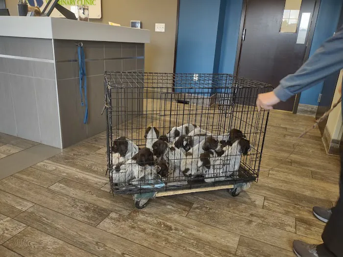 Strafford Veterinary Clinic 12