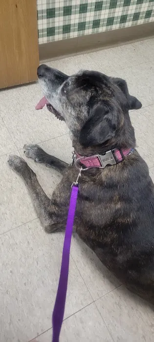 Marshfield Veterinary Clinic 12