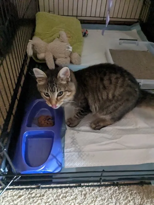 Tender Heart Animal Clinic 12