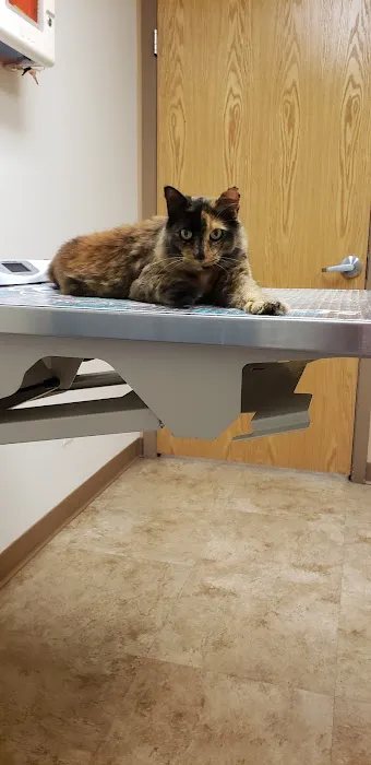 Tender Heart Animal Clinic 12