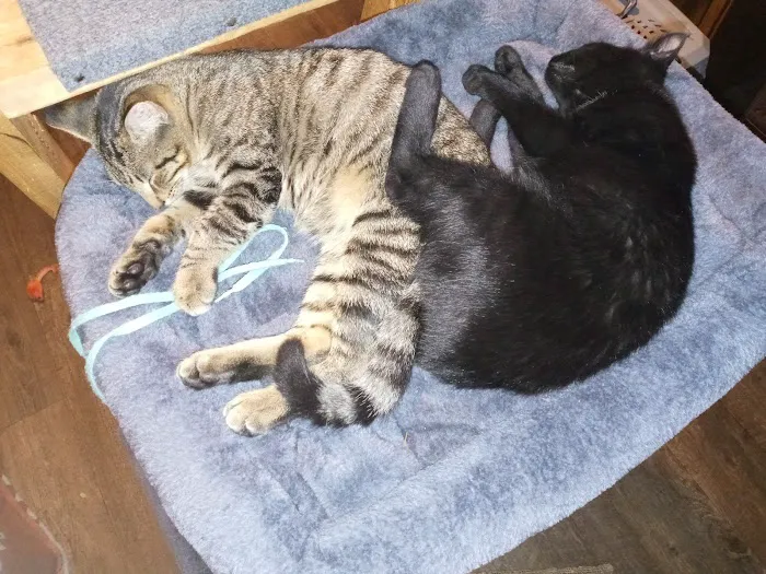Spragg Veterinary Clinic 12