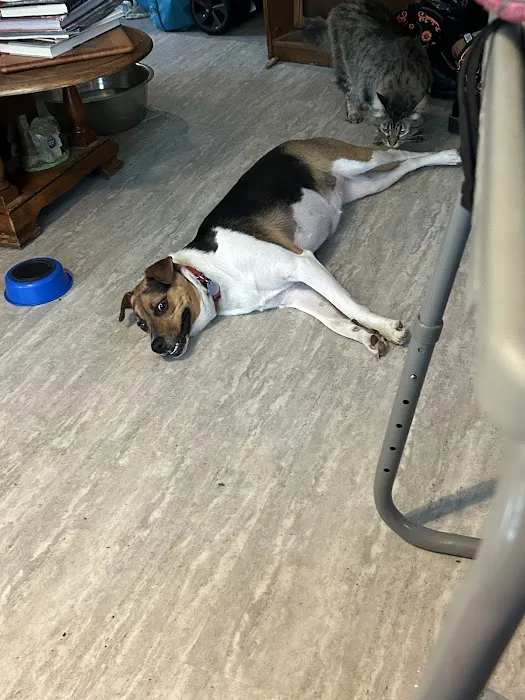 Spragg Veterinary Clinic 12