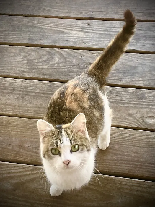 Lamczyk Veterinary Clinic LLC 8