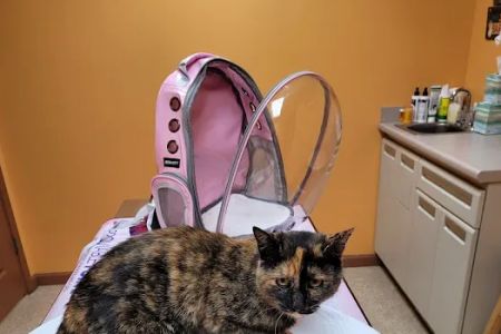 Lamczyk Veterinary Clinic LLC