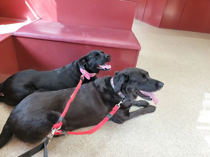 Lamczyk Veterinary Clinic LLC 9