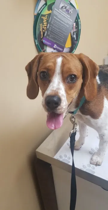 Lamczyk Veterinary Clinic LLC 10