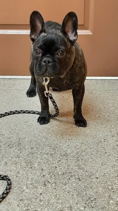 Lamczyk Veterinary Clinic LLC 2