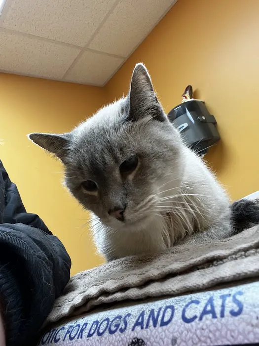Thousand Hills Veterinary Clinic 12