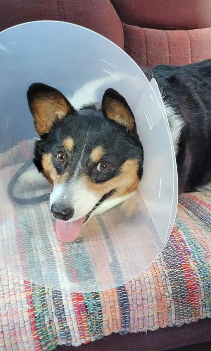 Thousand Hills Veterinary Clinic 12