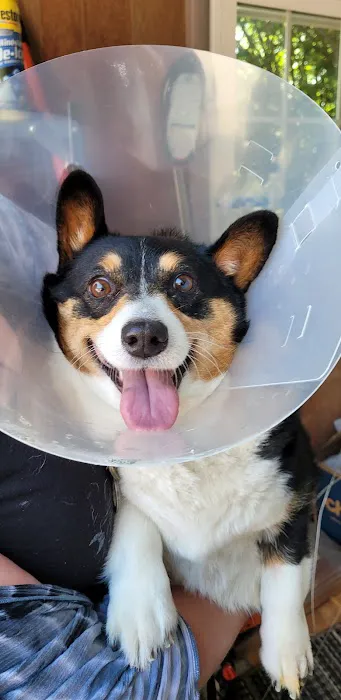 Thousand Hills Veterinary Clinic 12
