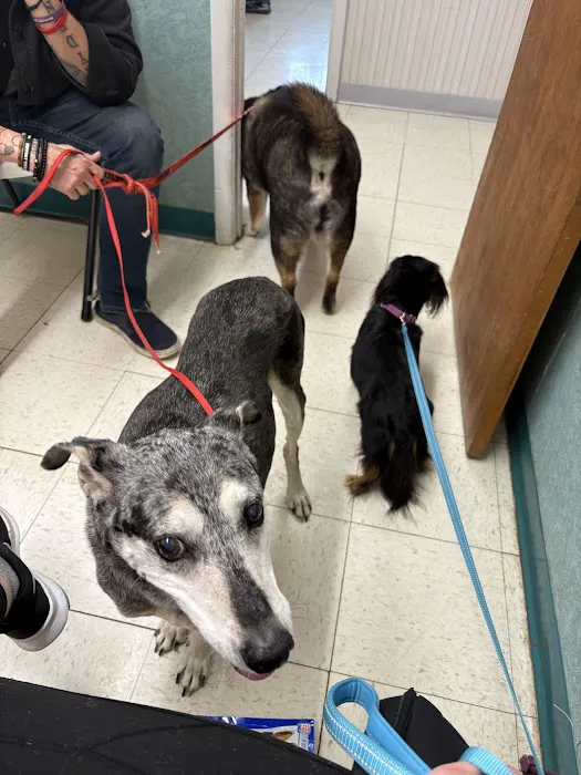 Thousand Hills Veterinary Clinic 12