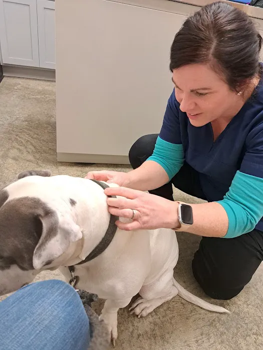 Paws Here Veterinary Services Ltd 12