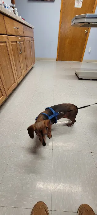 St. Peter Veterinary Clinic 12