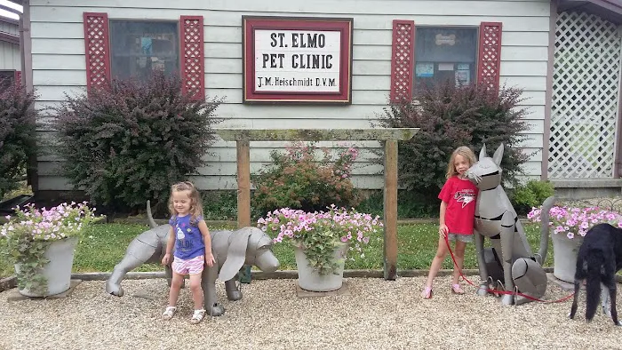 St Elmo Pet Clinic 12