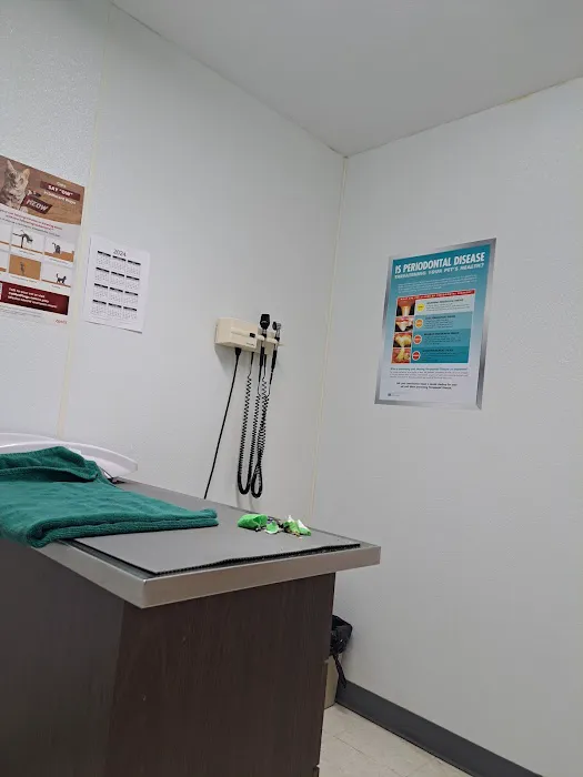 Town and Country Animal Hospital 12