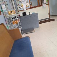 Town and Country Animal Hospital ico