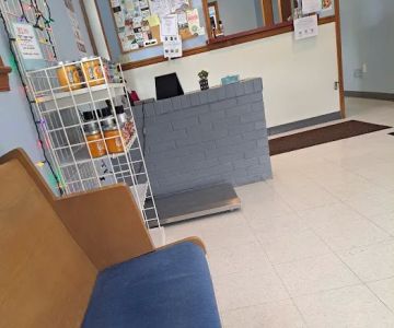 Town and Country Animal Hospital
