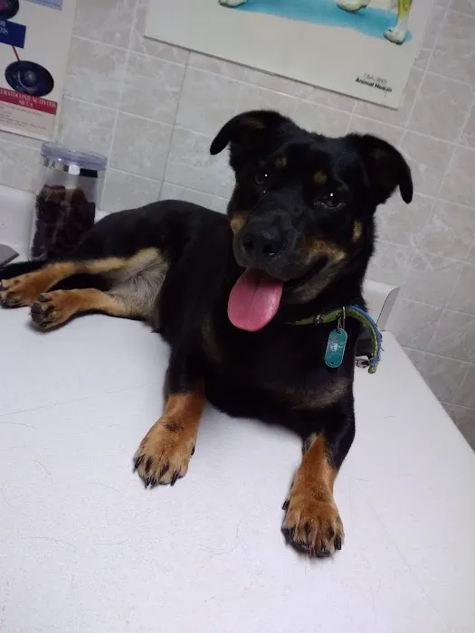 Bushnell Veterinary Service 3