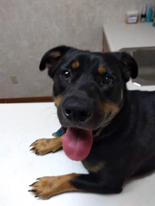 Bushnell Veterinary Service 4