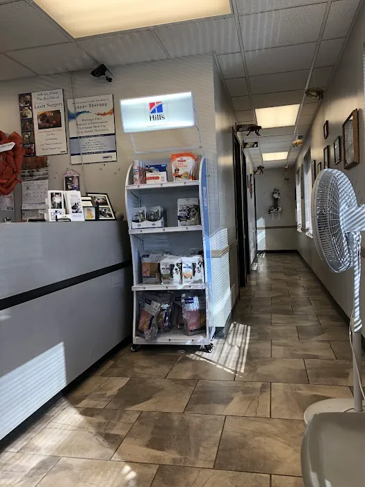 All Pets Veterinary Clinic 2