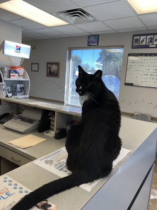 All Pets Veterinary Clinic 9
