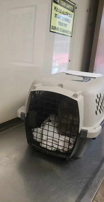 All Pets Veterinary Clinic 1