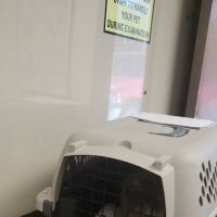 All Pets Veterinary Clinic ico