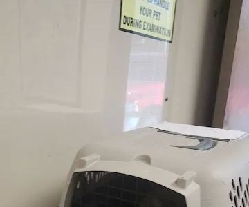 All Pets Veterinary Clinic