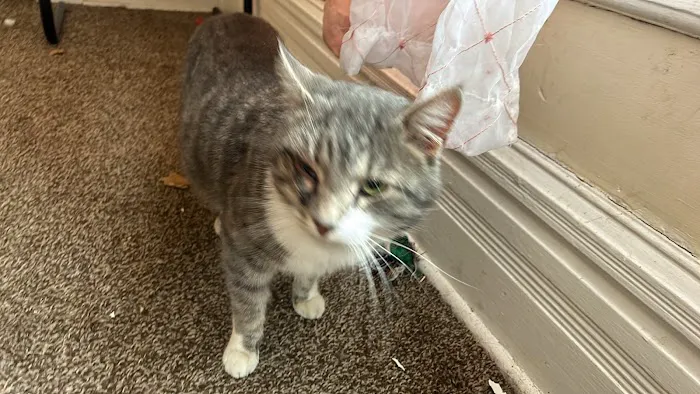 Animal Medical Center of Macomb 1