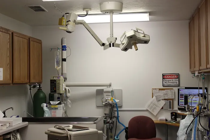 Summer Street Animal Clinic 12