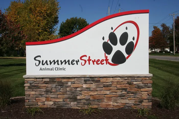 Summer Street Animal Clinic 12