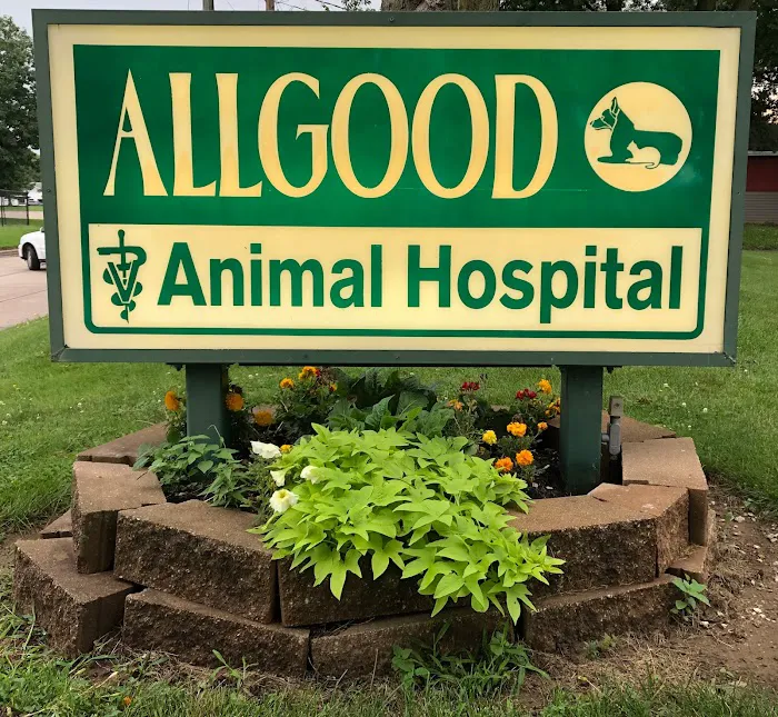 Allgood Animal Hospital 12