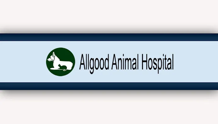 Allgood Animal Hospital: Lesczynski Rita DVM 12