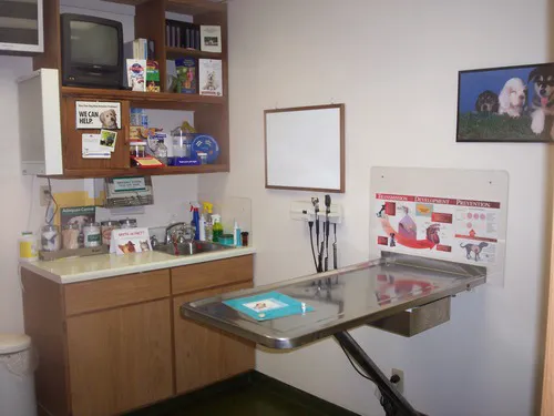 Allgood Animal Hospital: Lesczynski Rita DVM 12