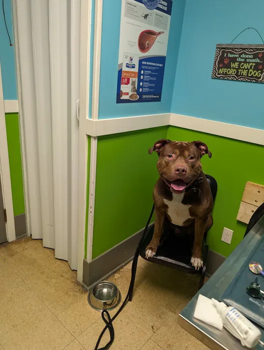 Mediapolis Veterinary Clinic 12