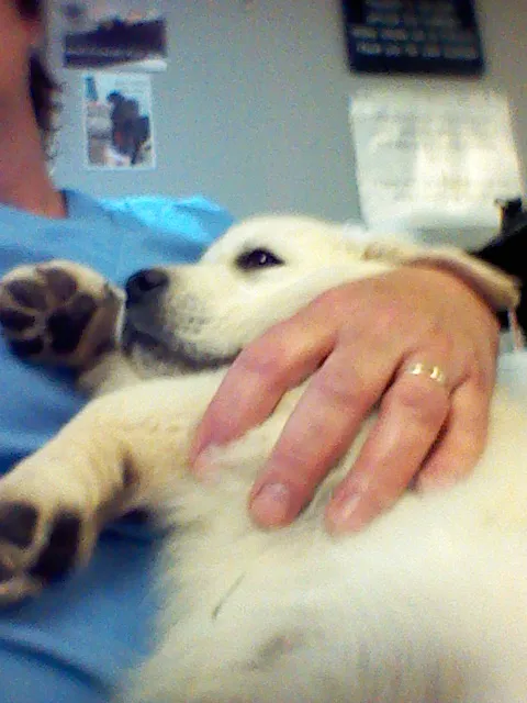Prairie Ridge Veterinary Clinic 8