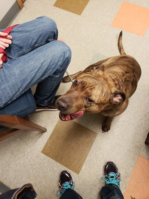 Prairie Ridge Veterinary Clinic 1