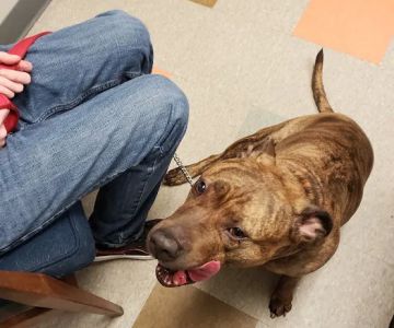 Prairie Ridge Veterinary Clinic