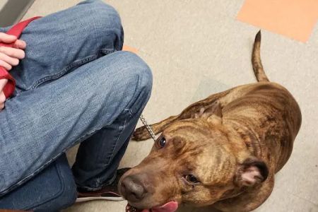 Prairie Ridge Veterinary Clinic