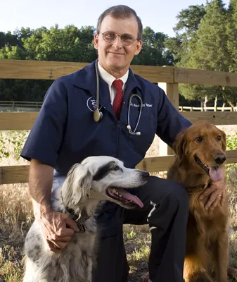 Prairie Ridge Veterinary Clinic 9