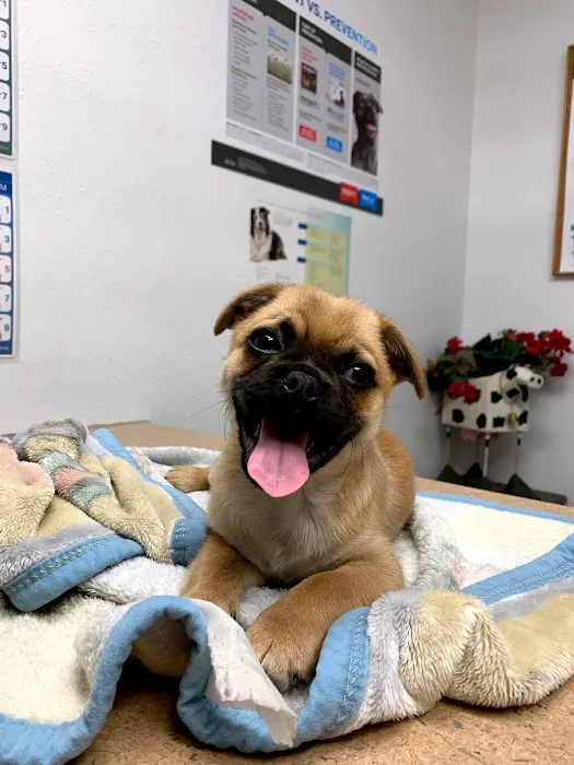 Keota Veterinary Clinic 12