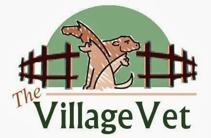 The Village Vet 12