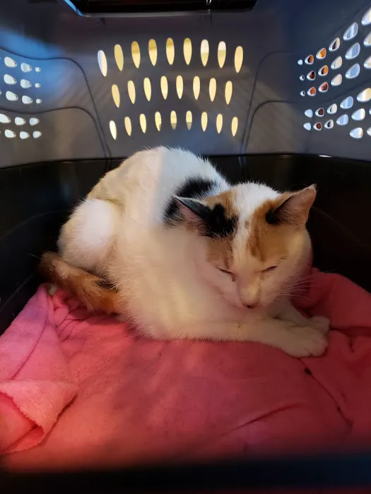 Fairfield Animal Hospital 12