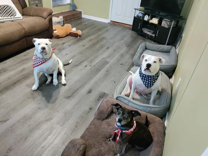 Berry Animal Clinic 8