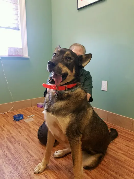 Family Pet Health Care 10