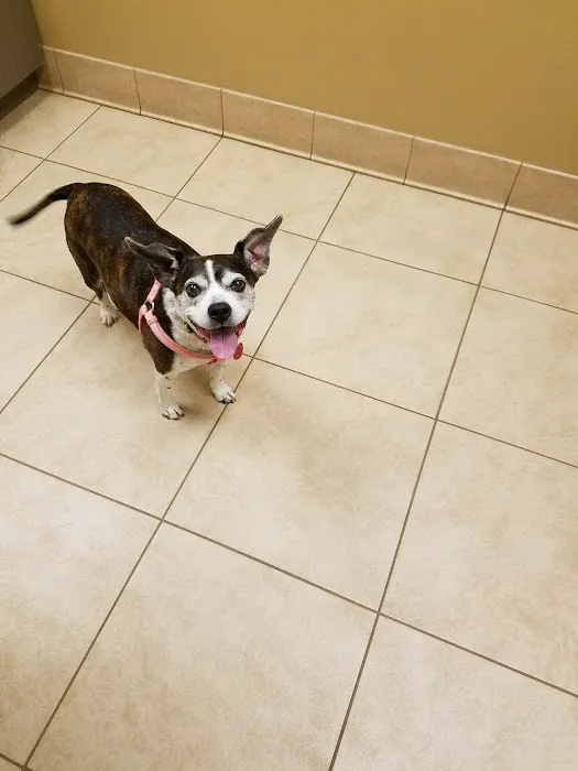 Family Pet Health Care 1