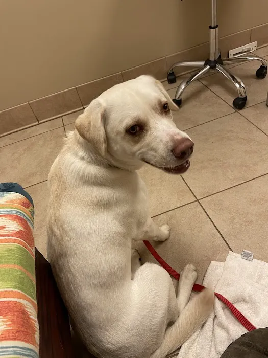 Family Pet Health Care 3